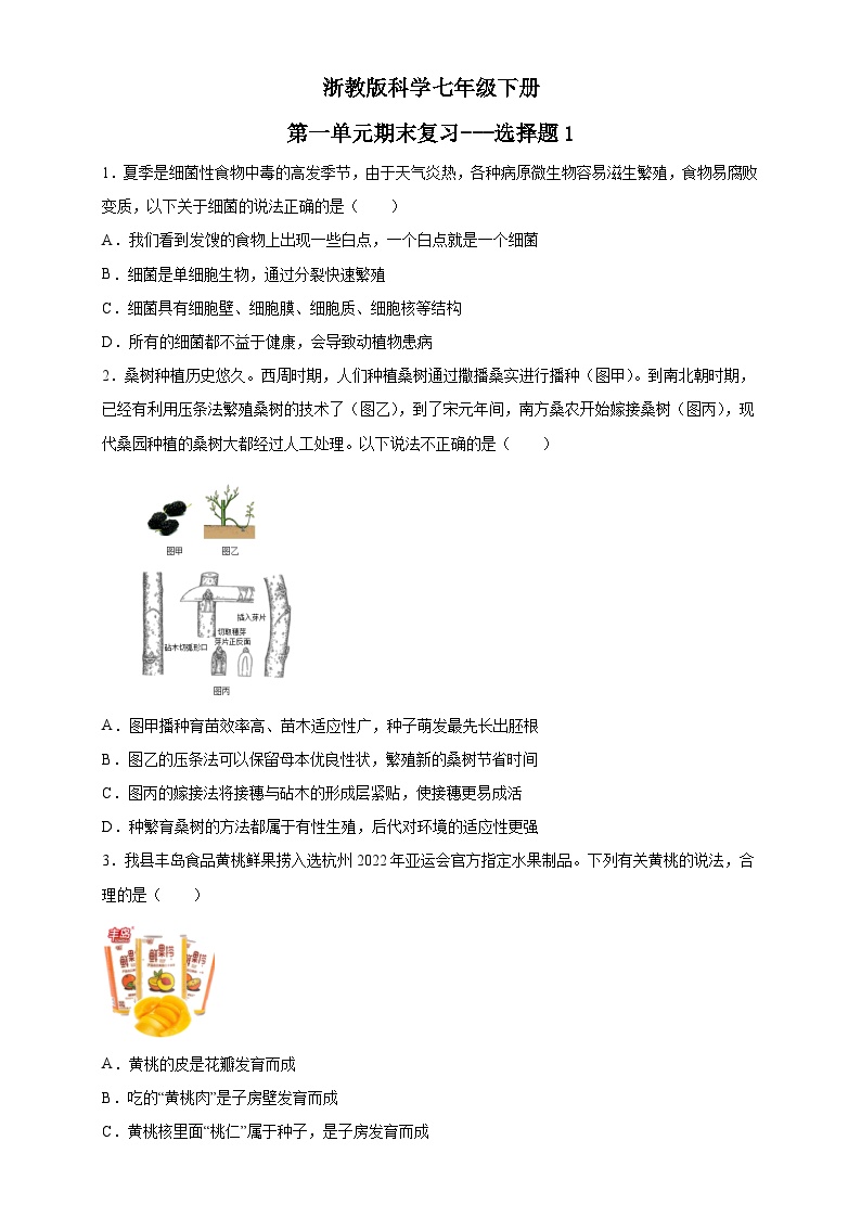 第一单元期末复习：选择题1  浙教版科学七年级下册