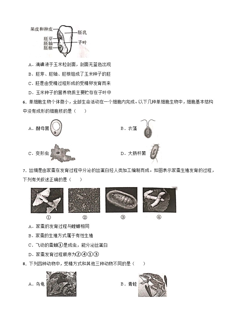 浙江省杭州市临平区2023-2024学年七年级下学期3月份月考科学试卷02