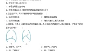 初中科学浙教版八年级下册第3章 空气与生命第5节 生物的呼吸和呼吸作用习题