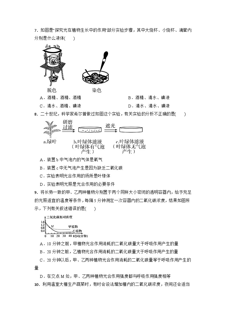 3.6光合作用练习 浙教版八年级下册科学第2页