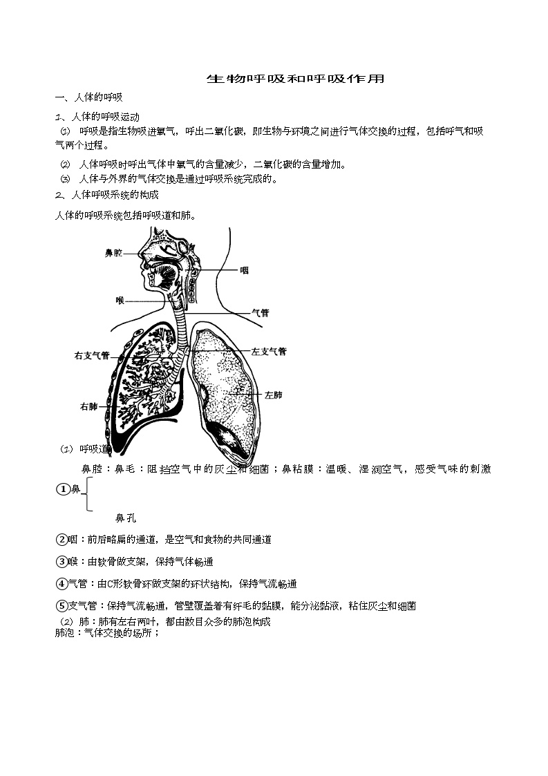 初中科学浙教版八年级下册第3章 空气与生命第5节 生物的呼吸和呼吸作用同步测试题
