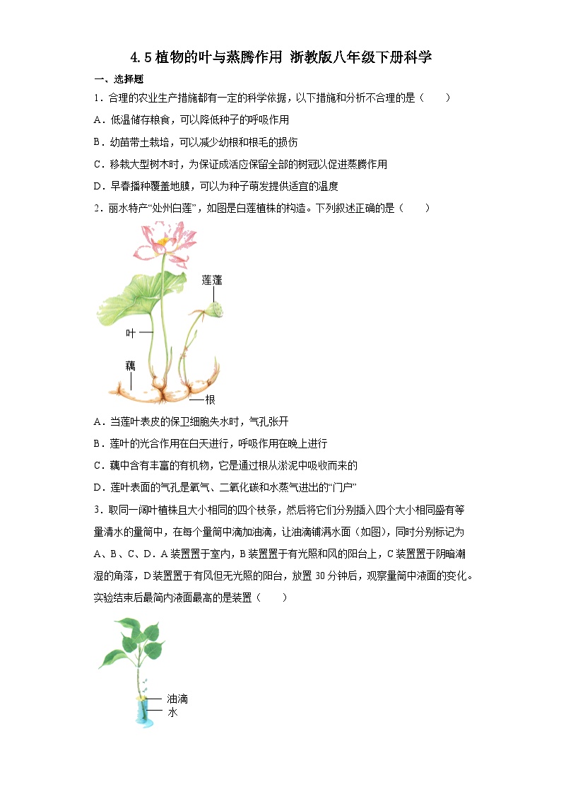 4.5植物的叶与蒸腾作用 练习【期末复习】   浙教版科学八年级下册