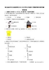 浙江省金华市义乌绣湖中学2023-2024学年九年级上学期期中教学质量检测科学试卷