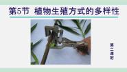 初中科学第5节 植物生殖方式的多样性集体备课课件ppt
