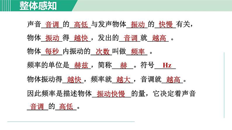 浙教版七年级科学下册课件 2.3 耳和听觉 第2课时第5页