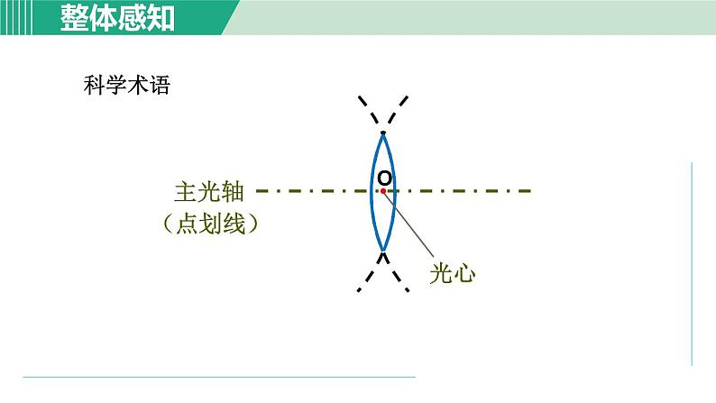 浙教版七年级科学下册课件 2.6 透镜和视觉 第1课时05