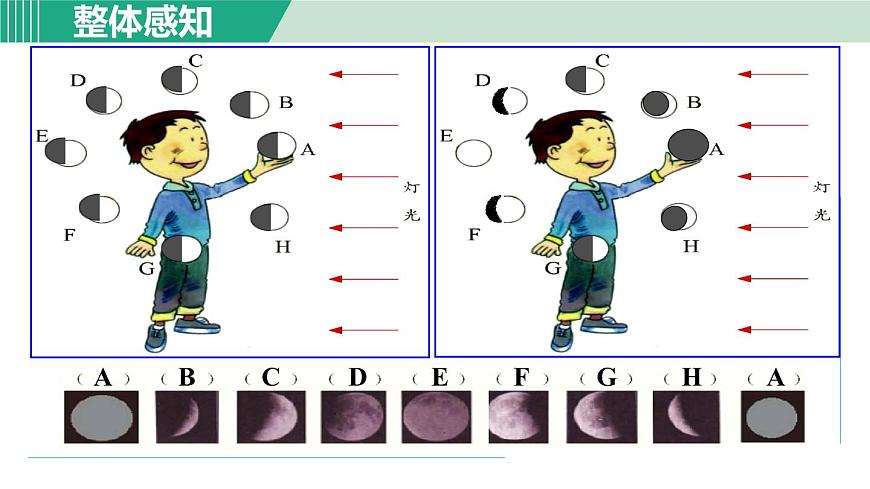 浙教版七年級科學(xué)下冊課件 4.4 月相第5頁