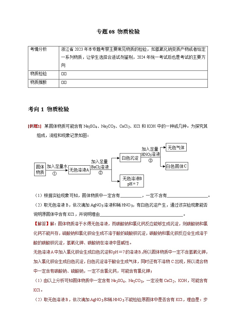 专题08 物质检验——2024浙江中考科学(省统考)分类专练01