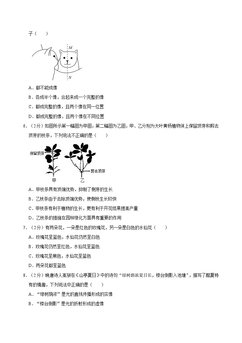 浙江省绍兴市第一初级中学教育集团2023-2024学年七年级下学期期中测试科学试卷第2页