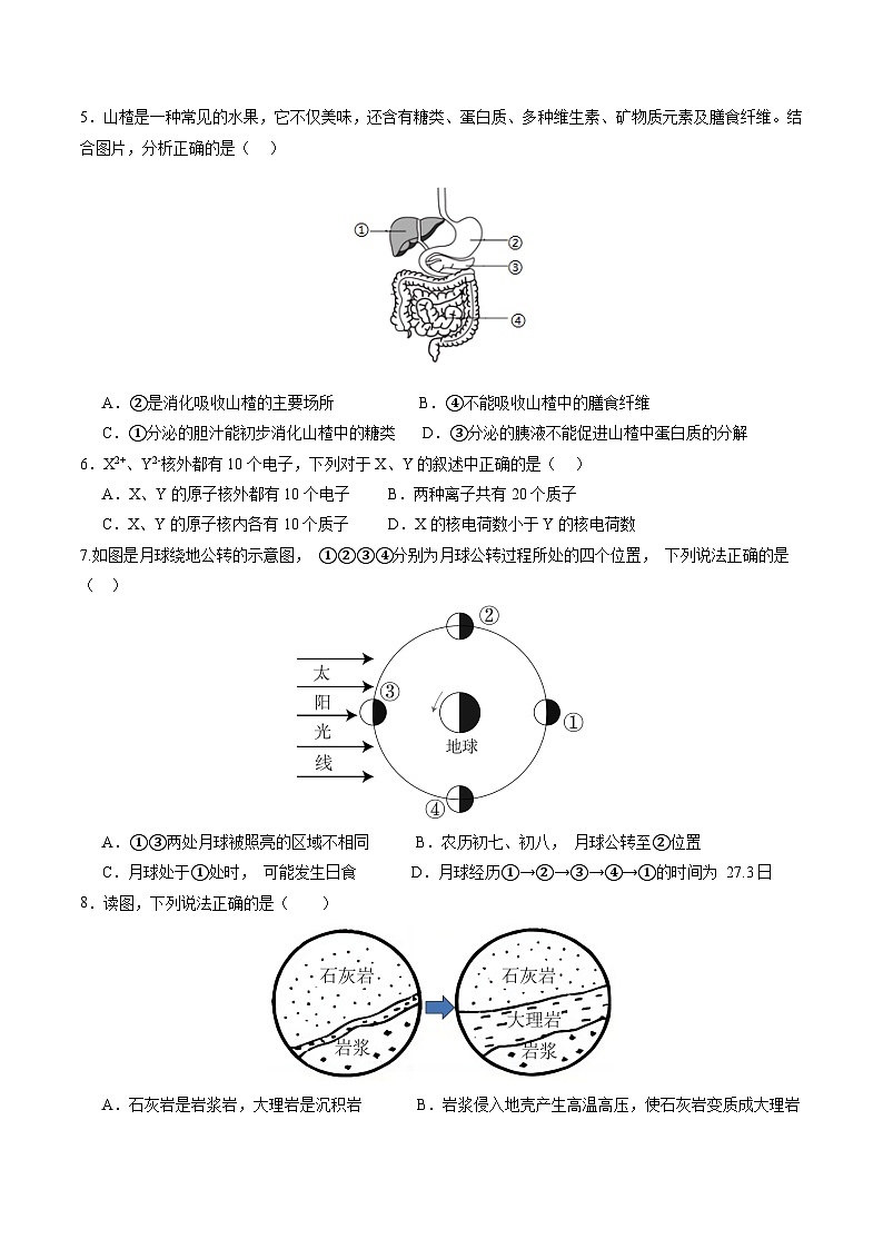 2024年中考第三次模拟考试题:科学(浙江卷)(考试版)02
