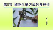 浙教版七年级下册第1章 代代相传的生命第5节 植物生殖方式的多样性多媒体教学ppt课件