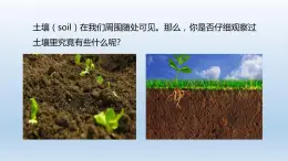 2024八年级科学下册第4章植物与土壤4.1土壤的成分课件新版浙教版