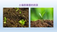 科学八年级下册第6节 保护土壤背景图ppt课件