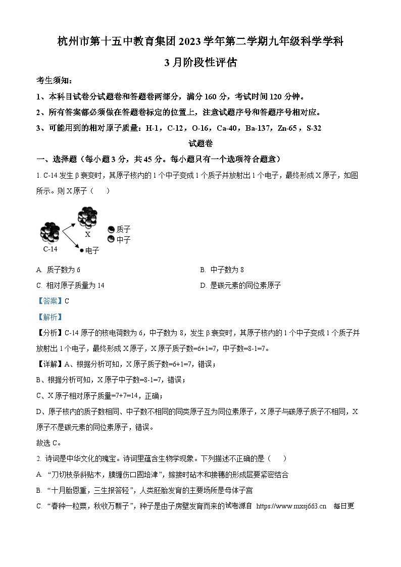 浙江省杭州市第十五中教育集团2023-2024学年九年级下学期3月月考科学试题