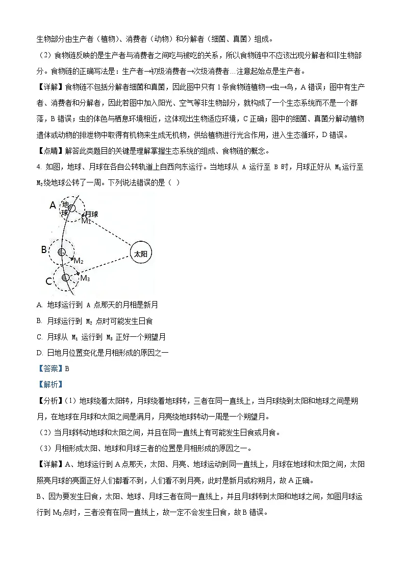 浙江省杭州观成实验学校2023-2024九年级下学期第三次模拟考科学试题第3页