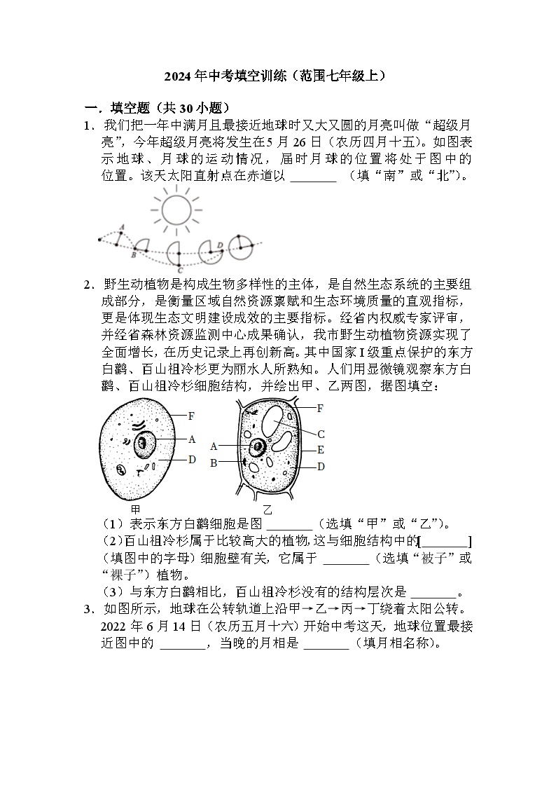 中考填空训练（范围七年级上）——2024年浙江省中考科学三轮冲刺