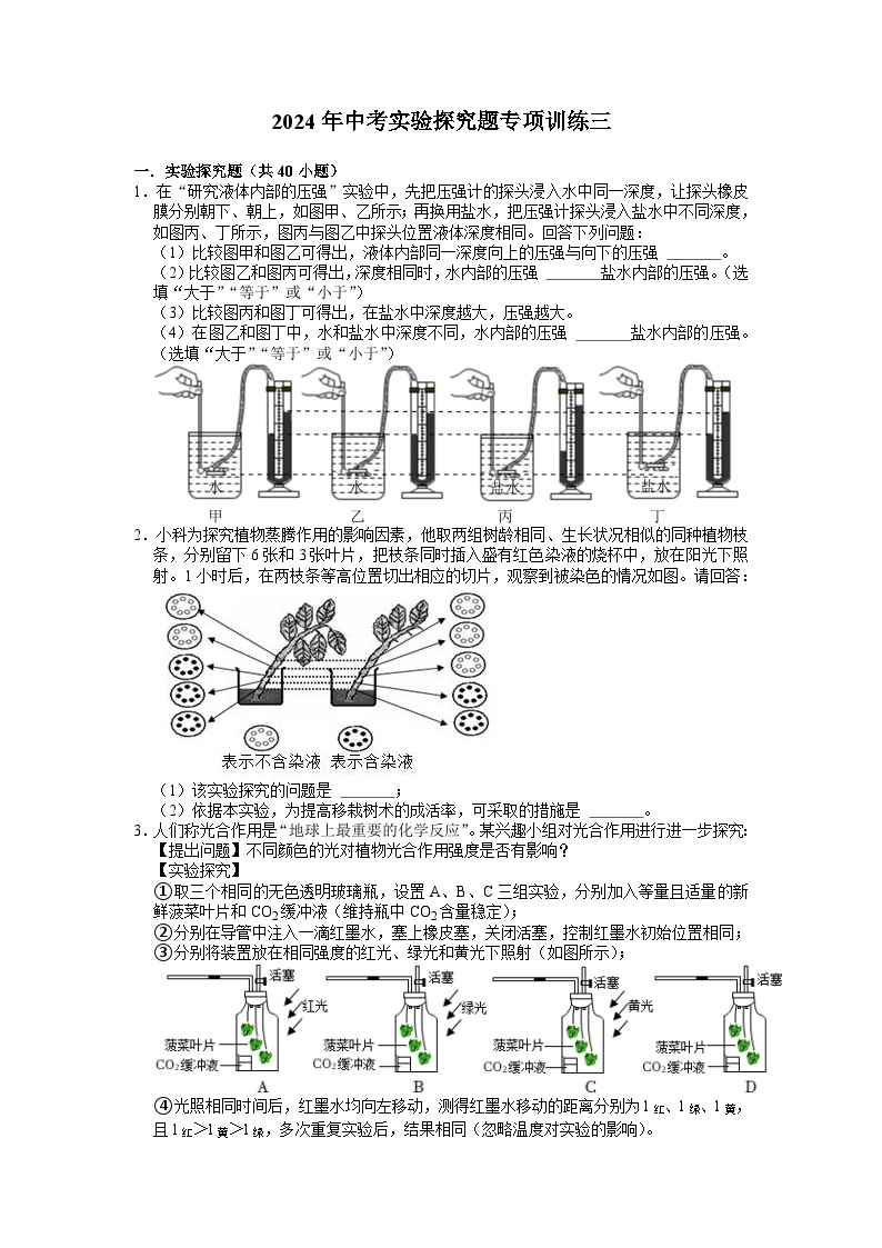 实验探究题专项训练三——2024年浙江省中考科学三轮冲刺