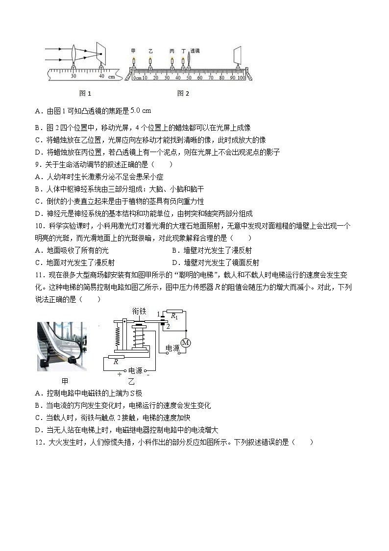 浙江省宁波市镇海区2023-2024学年下学期八年级科学期末试卷03