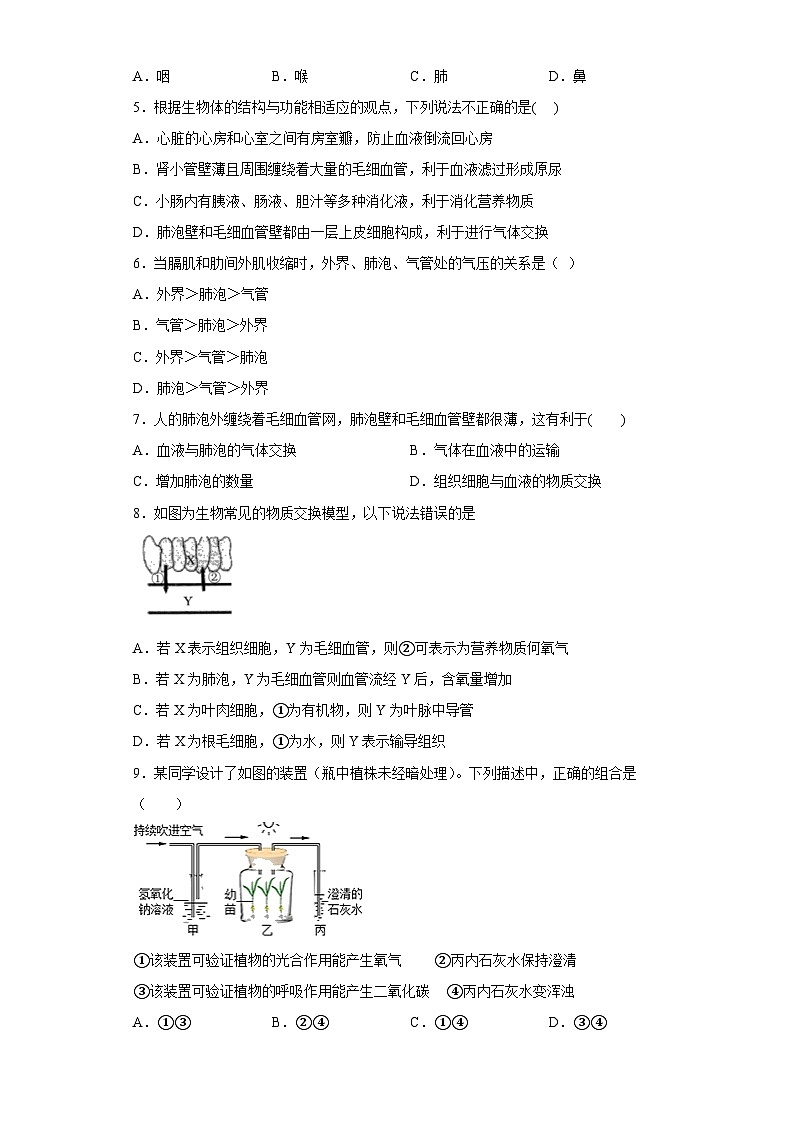 5.2人体的呼吸同步练习——华东师大版科学八年级上册02