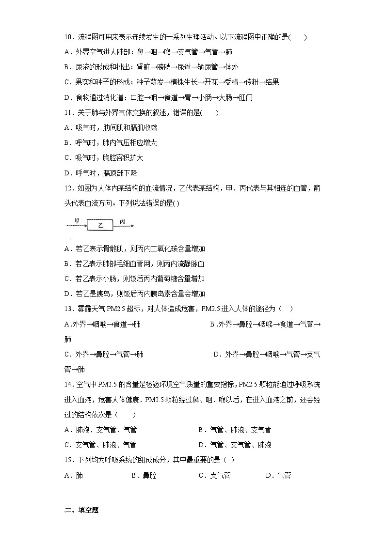 5.2人体的呼吸同步练习——华东师大版科学八年级上册03