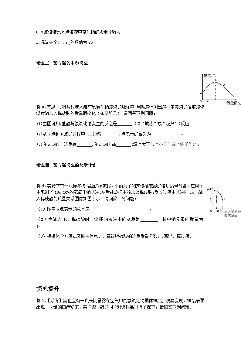 第一章 探索碱的性质复习讲义 浙教版科学九年级上册03