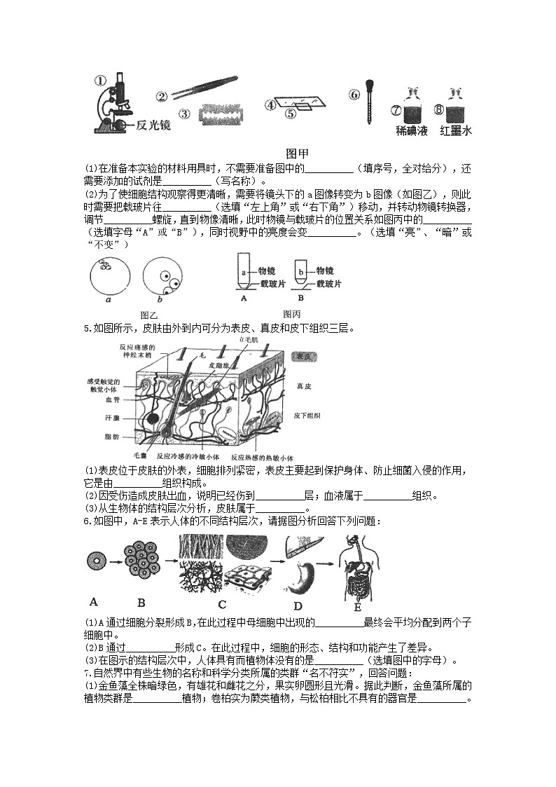 分类题型训练:第二章《观察生物》填空题(14) 浙教版科学七年级上册第2页