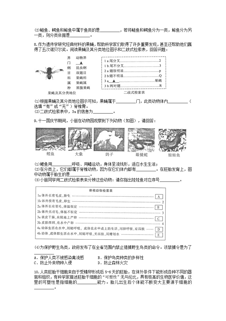 分类题型训练:第二章《观察生物》填空题(14) 浙教版科学七年级上册第3页