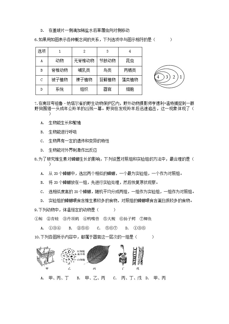 分类题型训练:第二章《观察生物》选择题(5) 浙教版科学七年级上册02