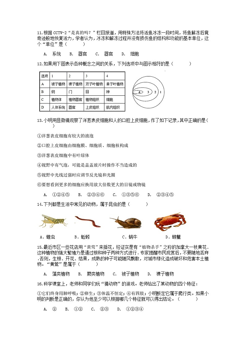 分类题型训练:第二章《观察生物》选择题(5) 浙教版科学七年级上册03