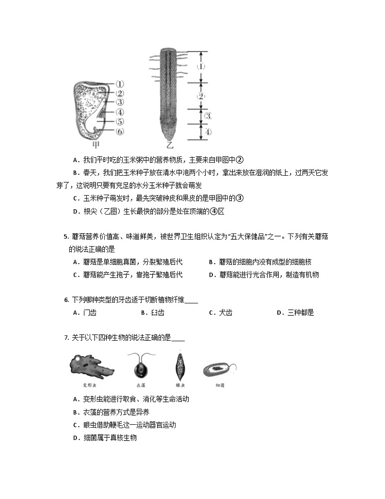 第二单元测试 浙教版七年级上学期科学第2页