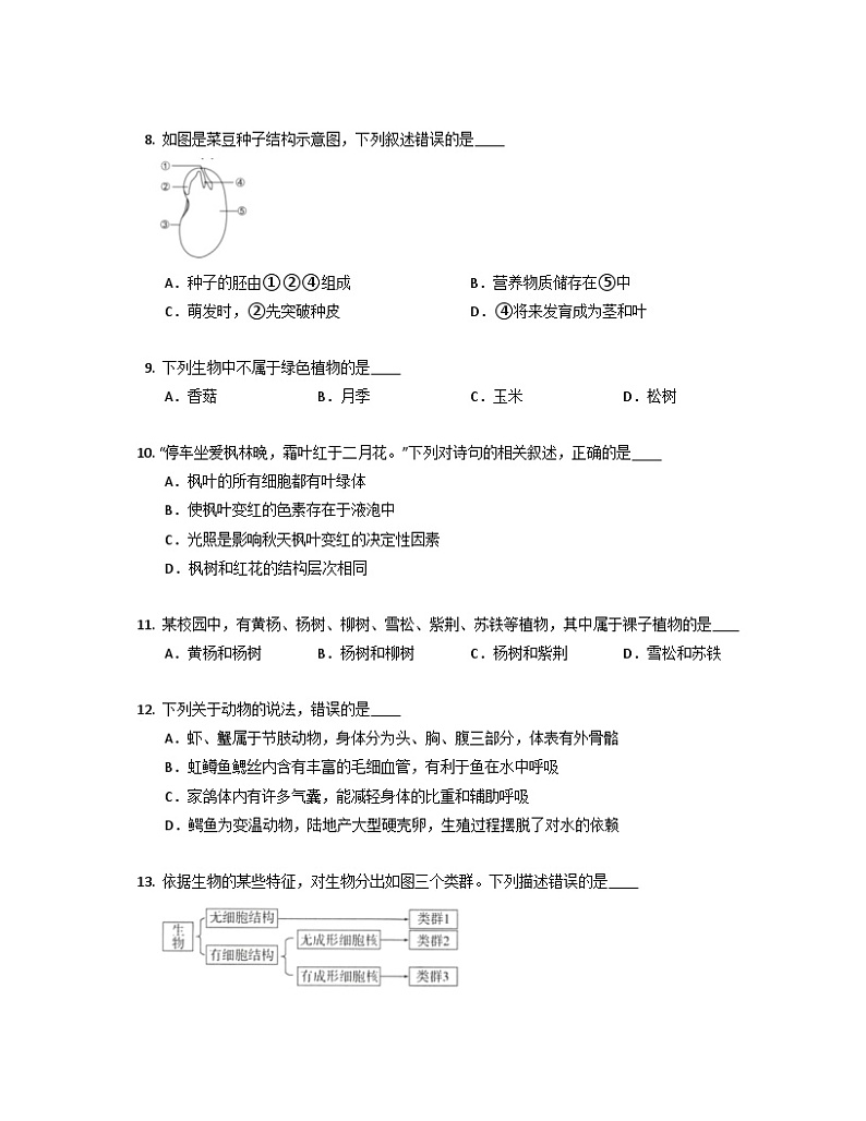 第二单元测试 浙教版七年级上学期科学第3页