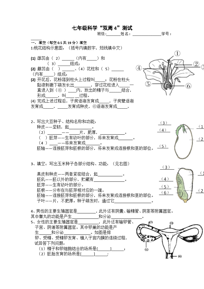 浙江省宁波市鄞州区咸祥镇中心初级中学七年级下学期5月教学评估（四）科学试题