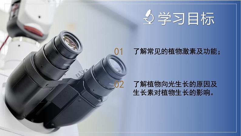 【浙教版】八上科学 3.1 植物生命活动的调节(第2课时)(课件+教案+导学案+同步练习)03
