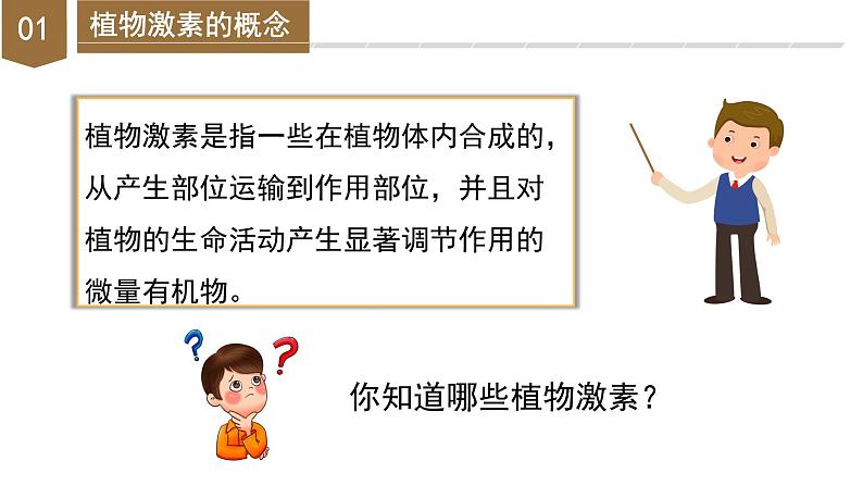 【浙教版】八上科学 3.1 植物生命活动的调节(第2课时)(课件+教案+导学案+同步练习)06