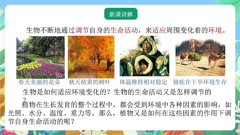 【新课标】浙教版科学八年级上册3.1《植物生命活动的调节》(第1课时)课件+素材03