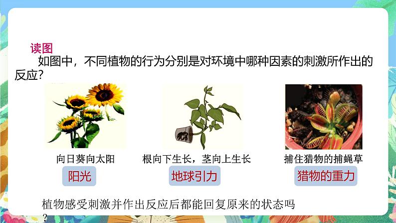 【新课标】浙教版科学八年级上册3.1《植物生命活动的调节》(第1课时)课件+素材05