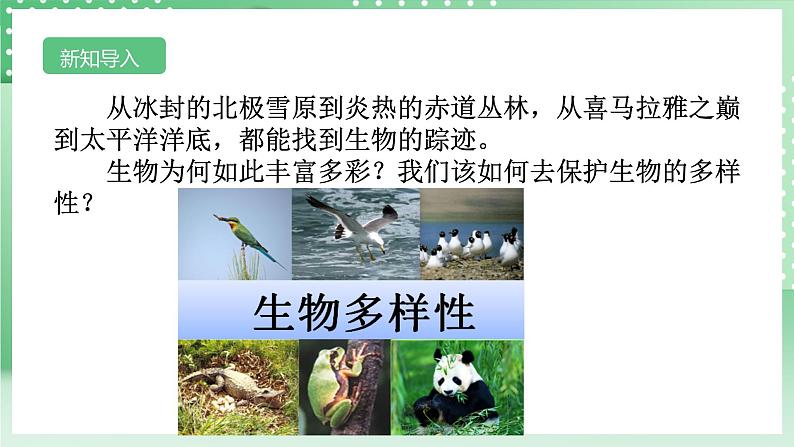 【核心素养】浙教版科学七年级上册 2.5《生物的多样性》(第1课时)课件+教案+学案+素材03