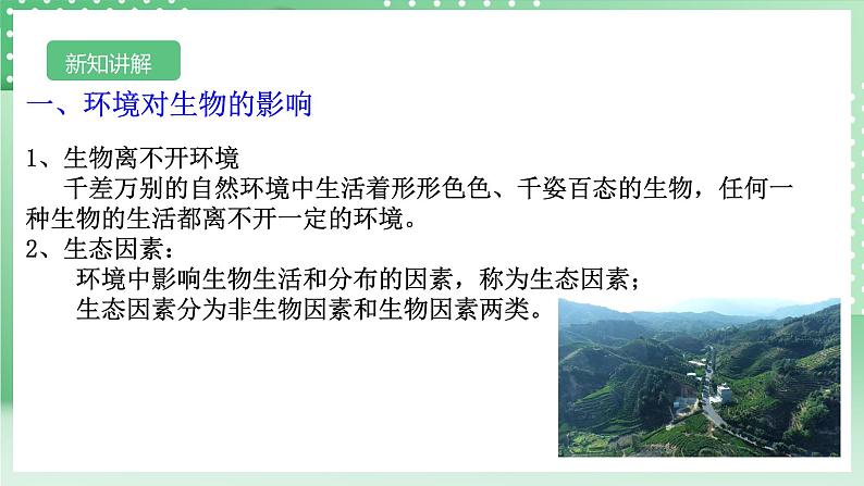 【核心素养】浙教版科学七年级上册 2.5《生物的多样性》(第1课时)课件+教案+学案+素材06