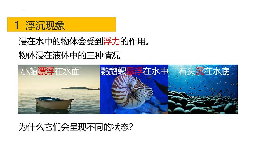 浙教版初中科學8上1.3 水的浮力 第2課時 課件第4頁