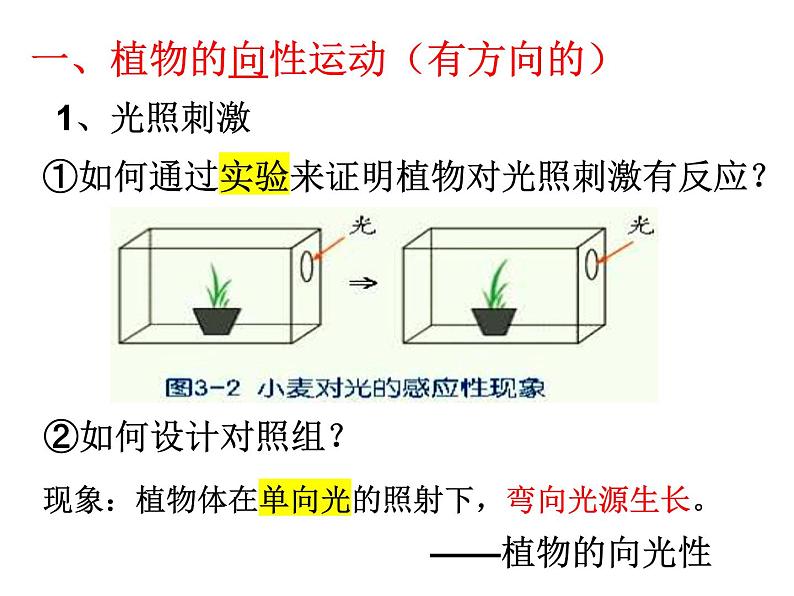 浙教版初中科学8上第1节 植物生命活动的调节 课件04