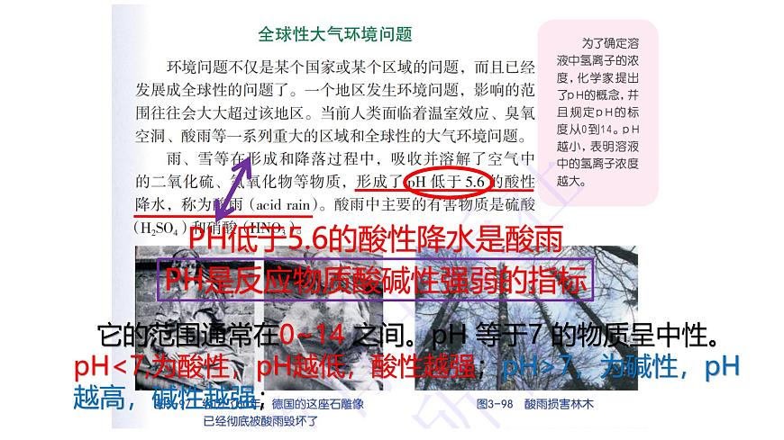 1.2.2 物質(zhì)的酸堿性第4頁