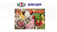 科学第1节 食物与营养精品课件ppt