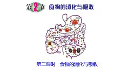 浙教版初中科學(xué)9上4.2.2 食物的消化與吸收 課件