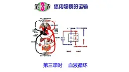 浙教版初中科学9上4.3.3 体内物质的运输 课件