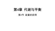 初中科学浙教版九年级上册第4节 能量的获得优秀课件ppt