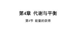 浙教版初中科学9上4.4能量的获得 课件