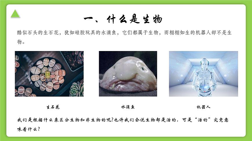 【核心素養(yǎng)】浙教版（2024）科學(xué)七年級上冊 第2章 第1節(jié) 生物體的基本單位（同步課件）第2頁