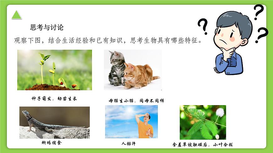 【核心素養(yǎng)】浙教版（2024）科學(xué)七年級上冊 第2章 第1節(jié) 生物體的基本單位（同步課件）第3頁
