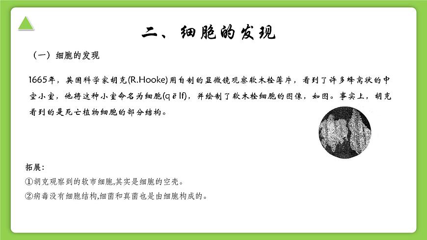 【核心素養(yǎng)】浙教版（2024）科學(xué)七年級上冊 第2章 第1節(jié) 生物體的基本單位（同步課件）第6頁