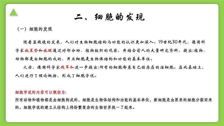 【核心素養(yǎng)】浙教版（2024）科學(xué)七年級上冊 第2章 第1節(jié) 生物體的基本單位（同步課件）第7頁